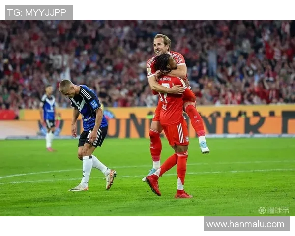 汉堡全力冲击德甲，引援提升实力助冲超成功